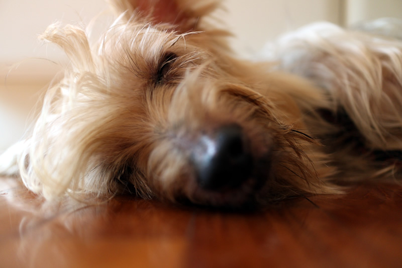 Canon EOS M Review Photo 3